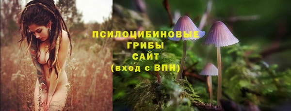 a pvp Армянск