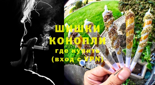 ПСИЛОЦИБИНОВЫЕ ГРИБЫ Аркадак