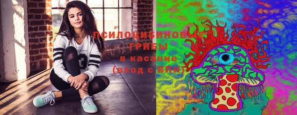 стафф Сатка
