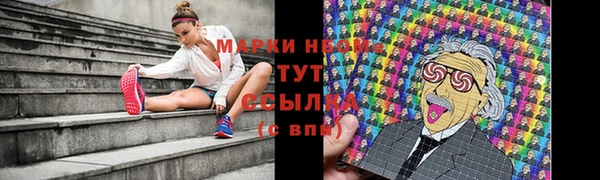 ПСИЛОЦИБИНОВЫЕ ГРИБЫ Аркадак