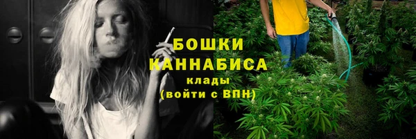 стаф Сафоново