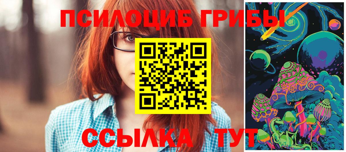 Псилоцибиновые грибы Psilocybine cubensis Мирный