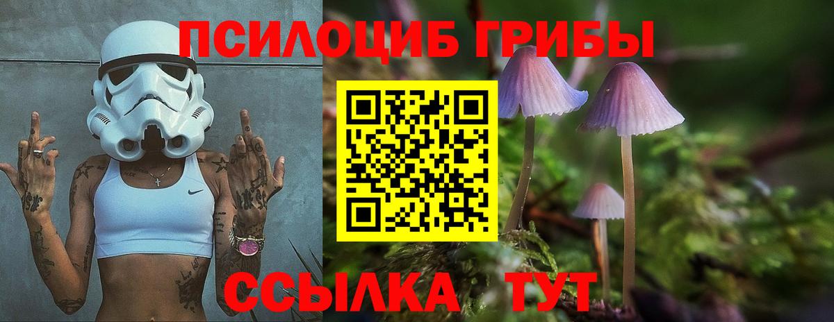 Галлюциногенные грибы Magic Shrooms  Вход с VPN  Мирный  Псилоцибиновые грибы MAGIC MUSHROOMS 